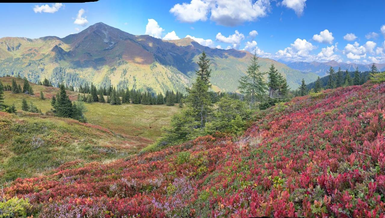 Hotel Alpengasthof Grobbauer Rottenmann Zewnętrze zdjęcie