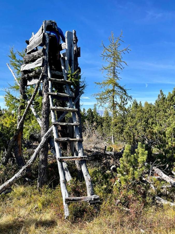 Hotel Alpengasthof Grobbauer Rottenmann Zewnętrze zdjęcie