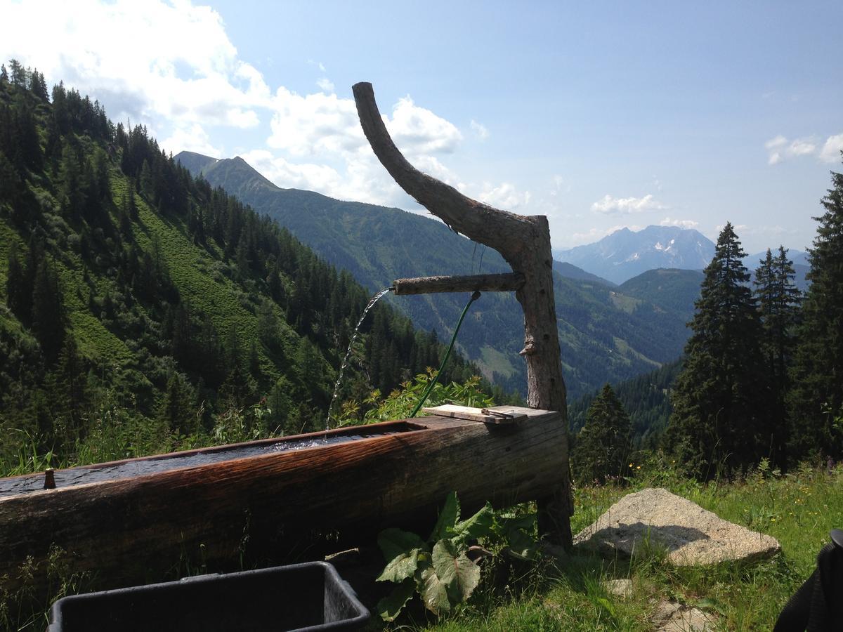 Hotel Alpengasthof Grobbauer Rottenmann Zewnętrze zdjęcie