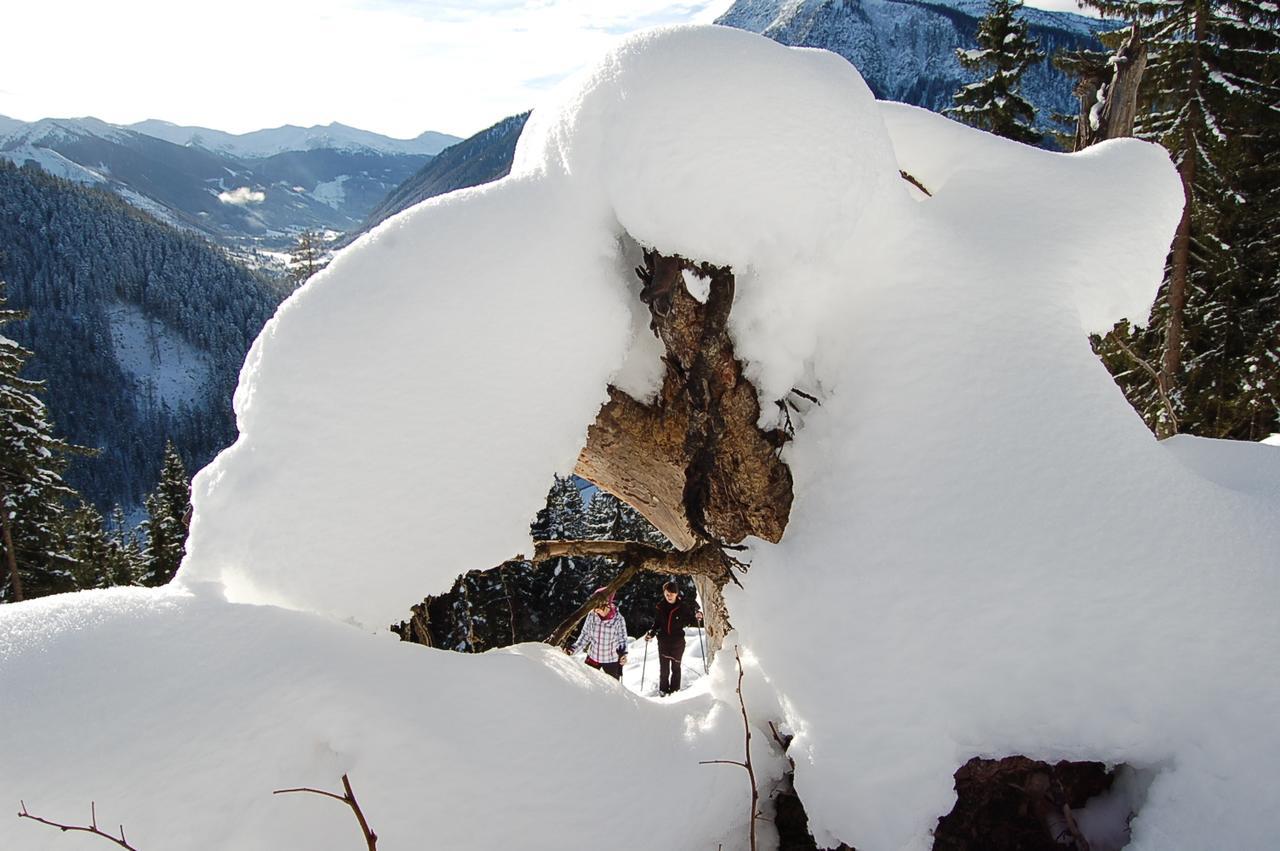 Hotel Alpengasthof Grobbauer Rottenmann Zewnętrze zdjęcie