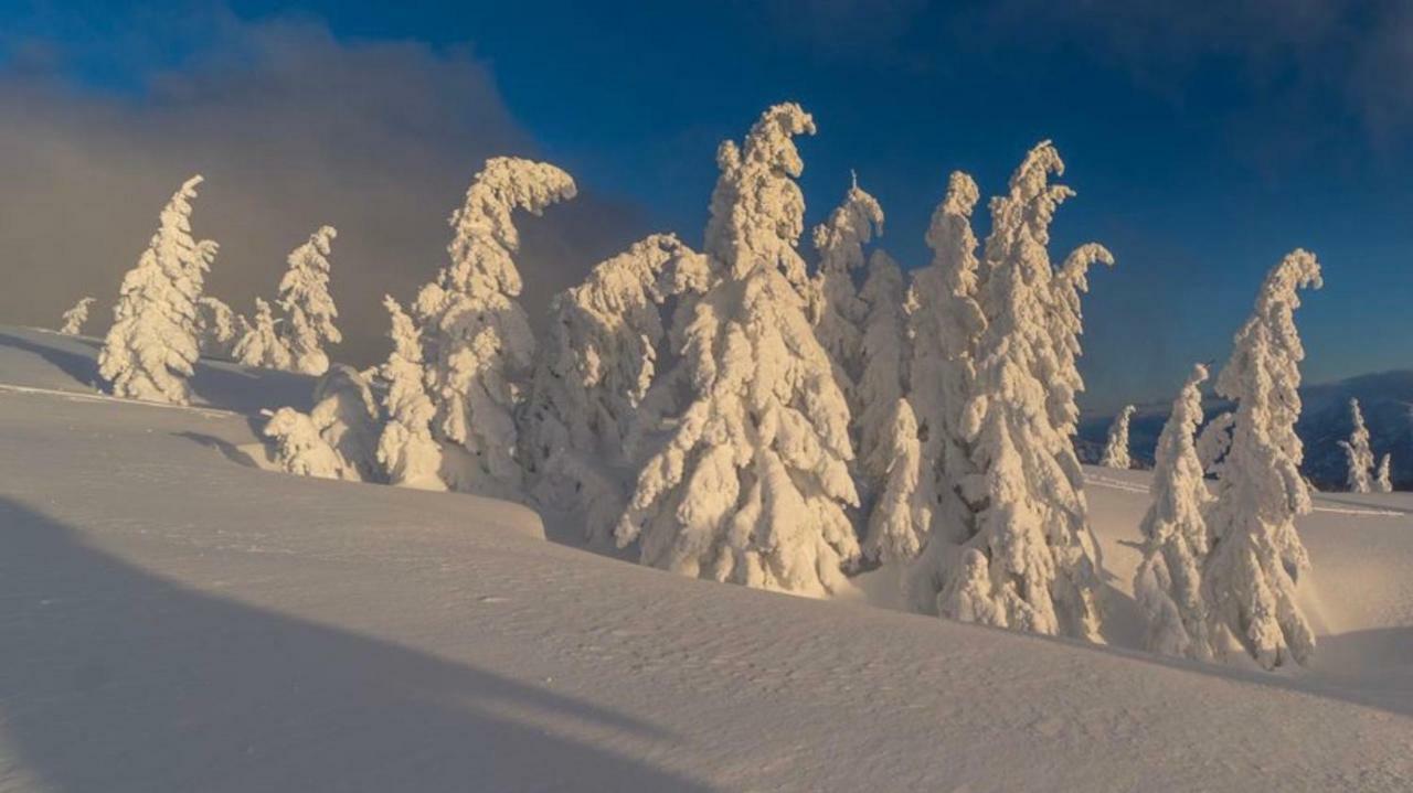 Hotel Alpengasthof Grobbauer Rottenmann Zewnętrze zdjęcie